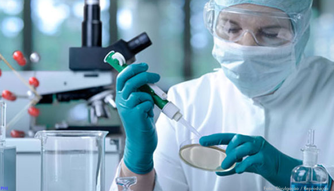 Teste de vacinas experimentais contra zika, conseguiram proteger fetos roedores