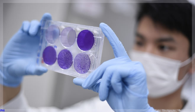 Pesquisadores investigam fatores genéticos de resistência ou suscetibilidade à COVID-19