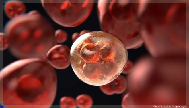 Reino Unido inicia testes com câmeras engolíveis capazes de detectar câncer