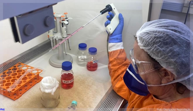Anticorpos de infectados pela primeira cepa do coronavírus mostram boa atividade contra a P.1 em testes