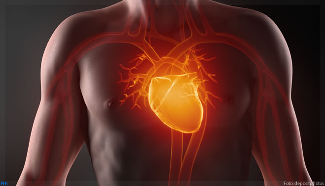 InCor: Transplante de coração suíno em humano pode revolucionar a medicina