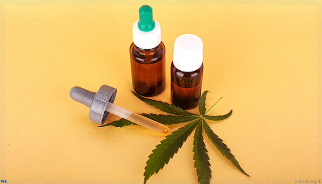 Anvisa aprova novo produto medicinal à base de cannabis